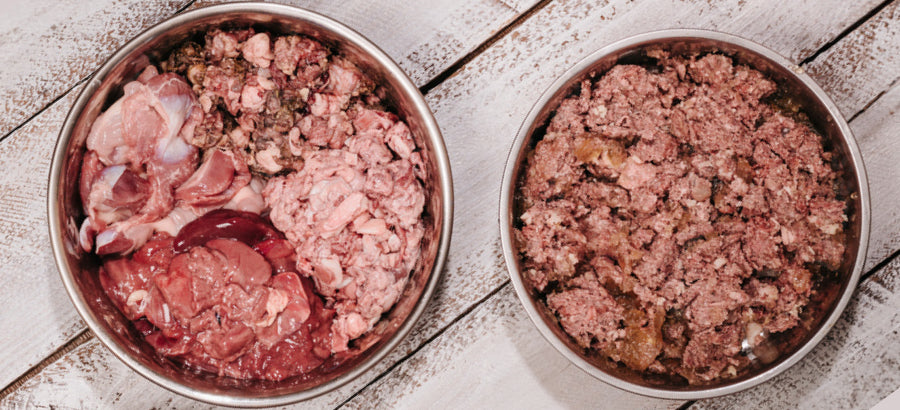 Best Raw Food For Dogs: Homemade Vs Premade