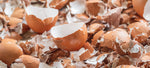 Can Dogs Eat Eggshells? The Safe Way to Add Calcium to Their Diet