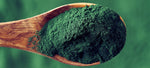 Spirulina For Dogs: Benefits And Safety Concerns