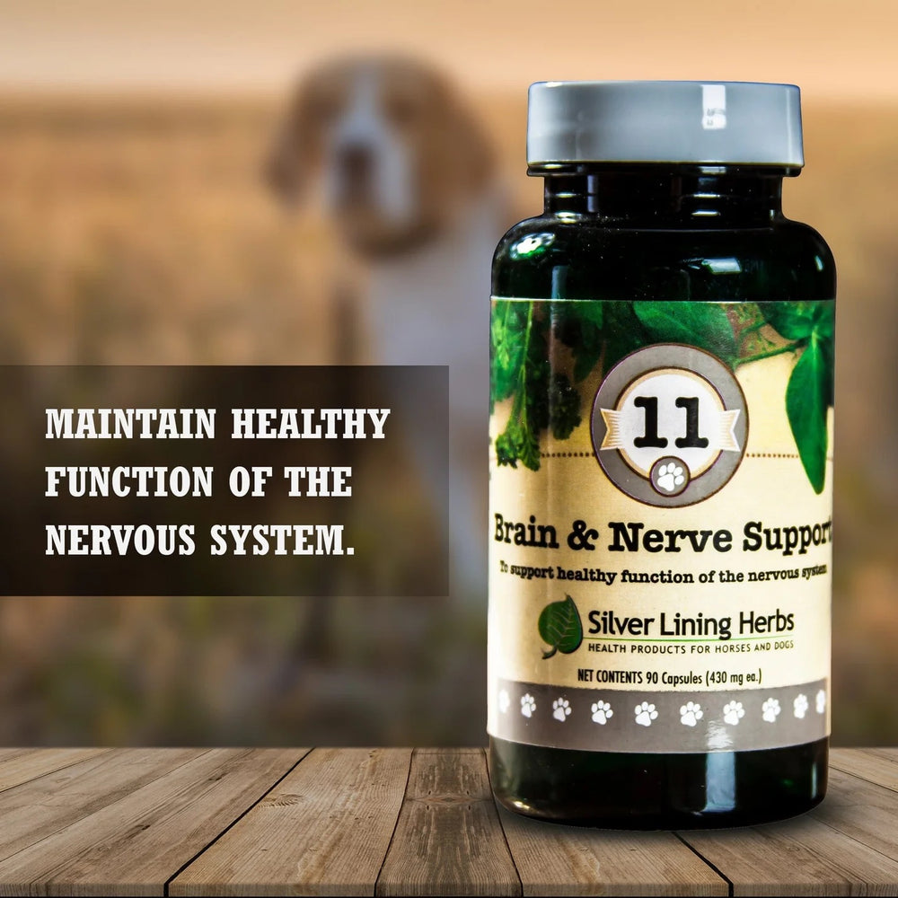 Herbal Brain & Nerve Support for Nervous System Health