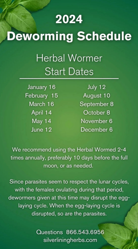 
                  
                    Herbal Wormer for Dogs Schedule 
                  
                