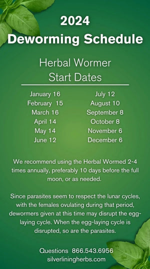 
                  
                    Herbal Wormer for Dogs Schedule 
                  
                