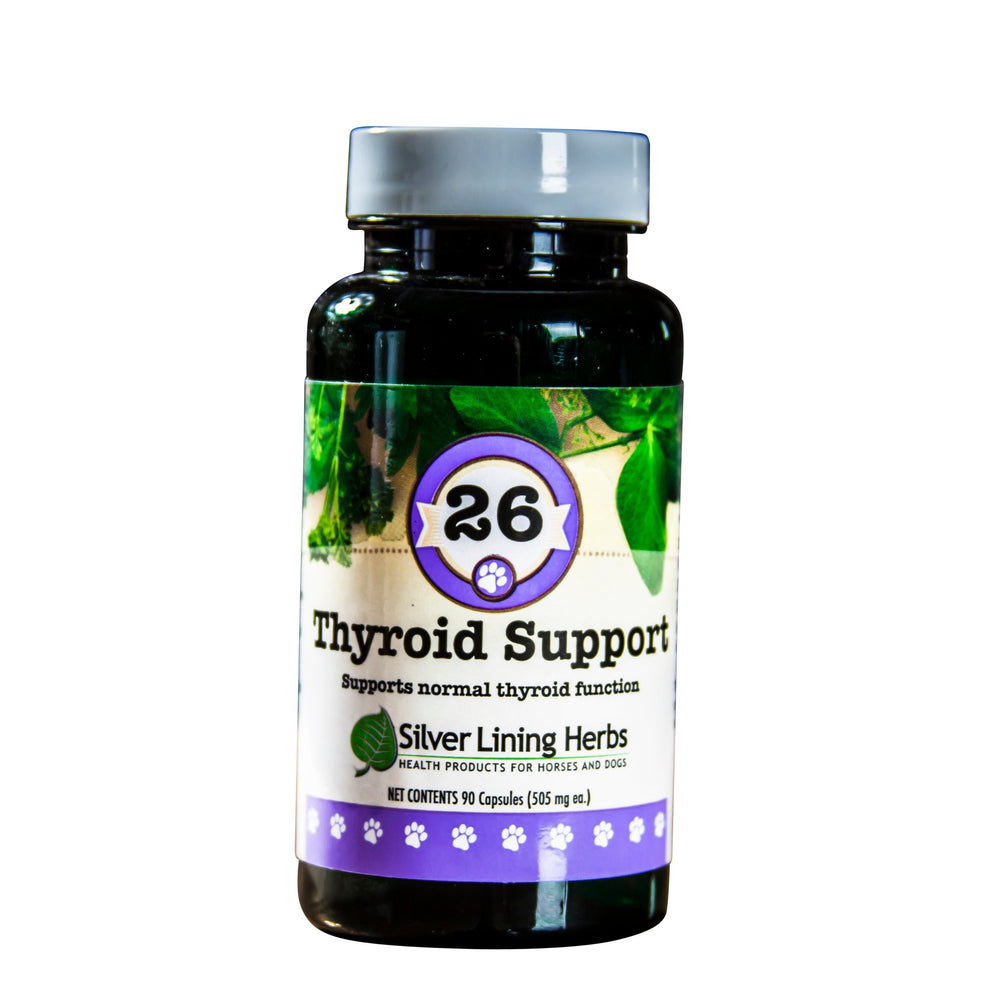 Thyroid Support for Dogs 