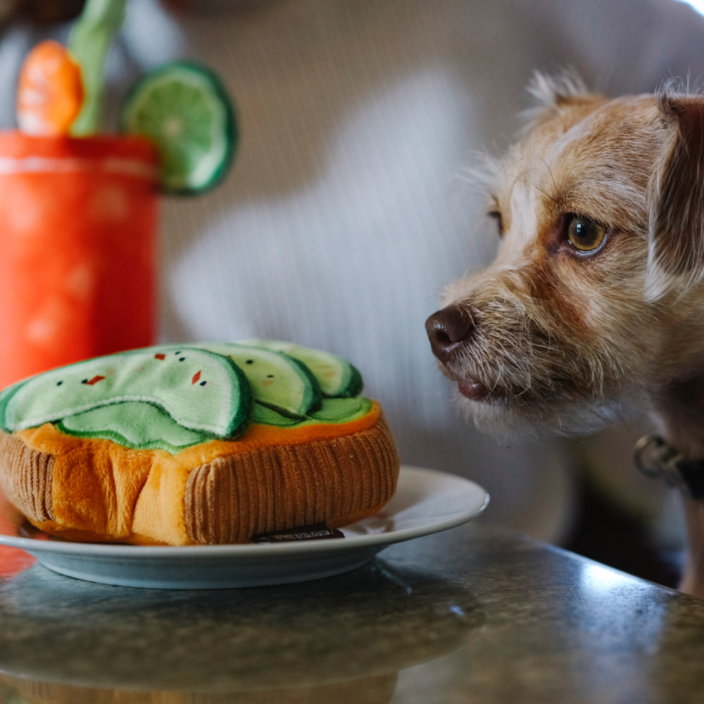 
                  
                    P.L.A.Y. Avodoggo Toast Dog Toy
                  
                