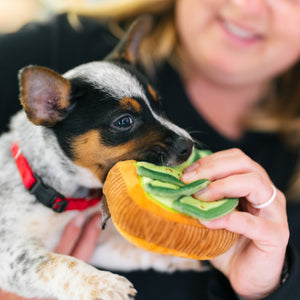 
                  
                    P.L.A.Y. Avodoggo Toast Dog Toy
                  
                