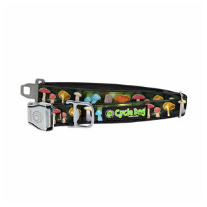 
                  
                    Mushroom Dog Collar
                  
                