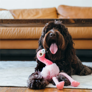 
                  
                    P.L.A.Y. Fetching Flock Flora the Flamingo
                  
                