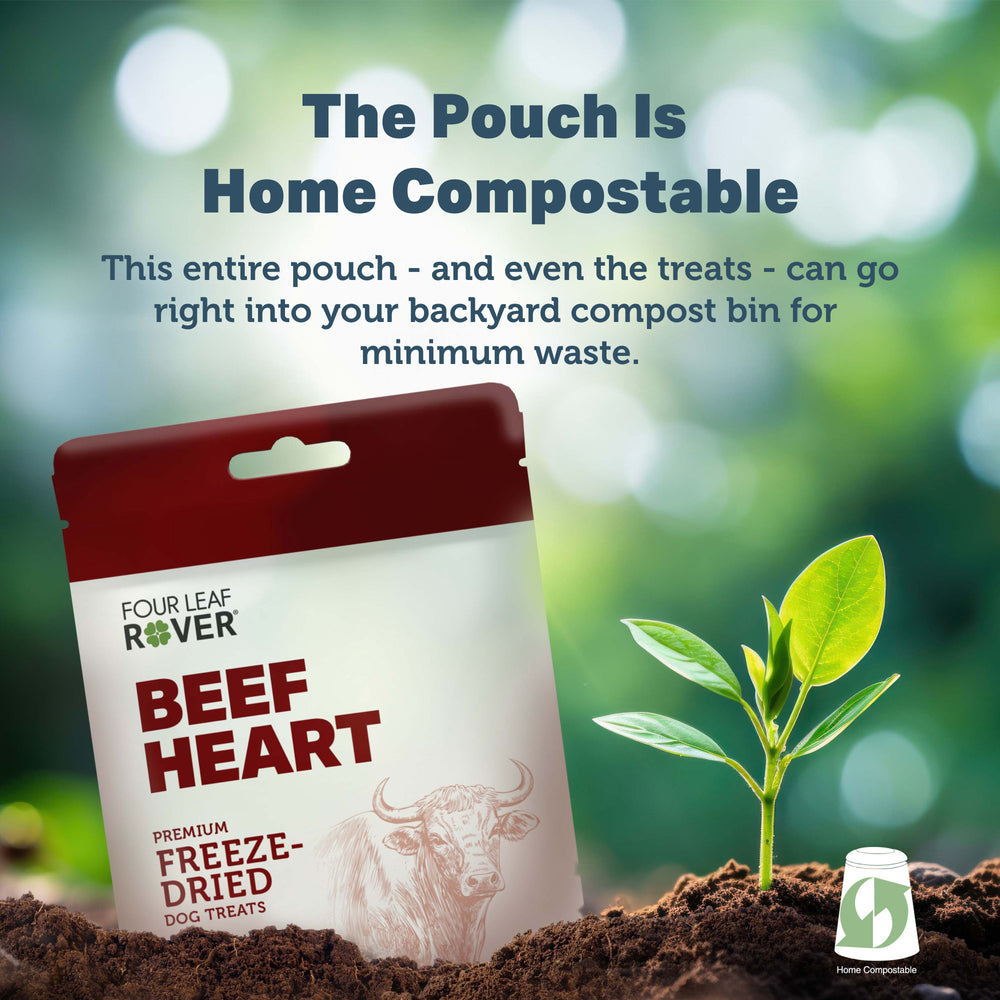 
                  
                    Home Compostable Packaging
                  
                