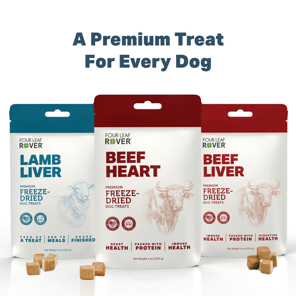 
                  
                    A Premium Treat for Every Dog
                  
                