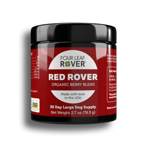 
                  
                    Red Rover
                  
                