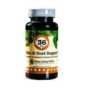 
                  
                    Skin & Coat Support
                  
                