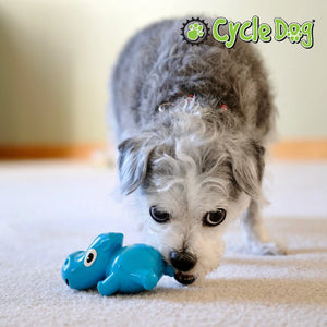 
                  
                    Dog Playing with Blue Hippo Dog Toy
                  
                