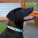 Black Dog Wearing Campfire Blanket Dog Collar