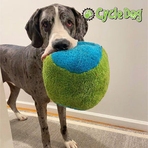 
                  
                    Dog Playing with Duraplush FuzzBall Toy
                  
                