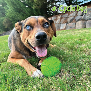 
                  
                    Dog Playing with High Roller Ball
                  
                