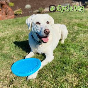 
                  
                    Dog Playing with Tire Flyer Dog Toy
                  
                