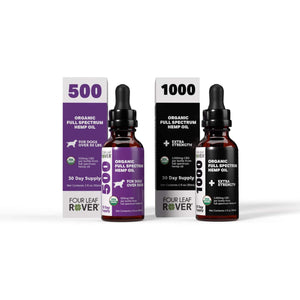Best CBD Oil For Dogs 2024  Turn Back Time With Every Drop