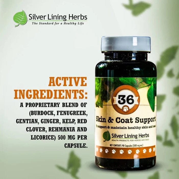 Silver Lining Herbs Skin & Coat Skin & Coat Support