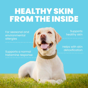 
                  
                    The Natural Dog Store Immune Support Harmony - Natural Skin Care For Dogs
                  
                