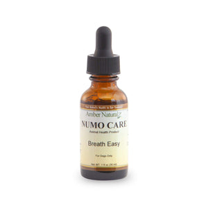 
                  
                    Amber Technology Natural Remedies Numo Care - Lung Support
                  
                