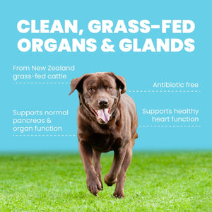 
                  
                    Four Leaf Rover Glandular Guts & Glory - Grass-Fed Organs & Glands
                  
                