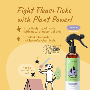 
                  
                    Kin + Kind Flea & Tick Products Kin + Kind - Natural Flea & Tick Spray
                  
                